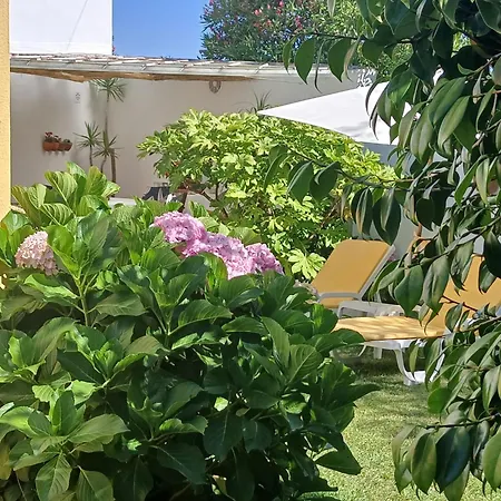 Casa Da Ria 78 - Family House Hébergement de vacances