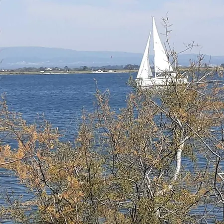Casa Da Ria 78 - Family House Σπίτι διακοπών Torreira