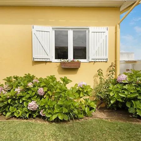 Casa Da Ria 78 Holiday home *