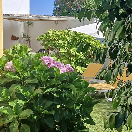 Vakantiehuis Casa Da Ria 78 - Family House *