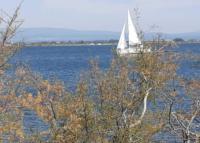 Casa Da Ria 78 - Family House בית נופש טוריירה